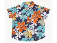 ������ 2-6_16440_image1709.png