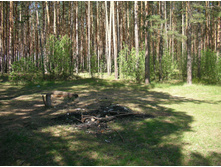 SANY0050.JPG