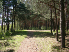 SANY0051.JPG