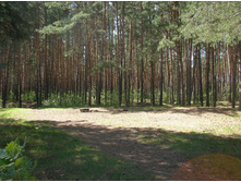 SANY0052.JPG