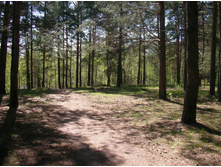 SANY0053.JPG