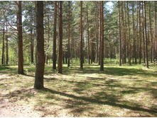SANY0054.JPG