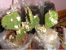 S73R0639.JPG