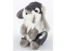 �������_18467_image1248.png