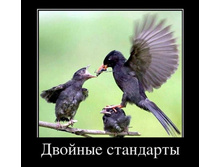 1319751592-demotivl.jpg