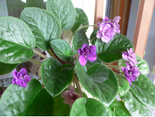 27.03.2009 11:46:25