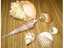 fc2fcaed753d81c3af9a1064ff4390af_600.jpg