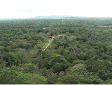 P1000105.JPG