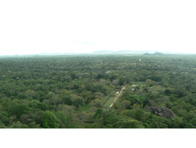 P1000113.JPG
