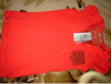 DSC04253.jpg