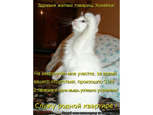 04.04.2009 16:26:08