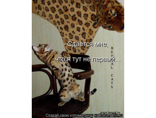 04.04.2009 16:26:12