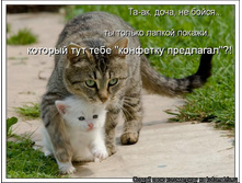 04.04.2009 16:26:21