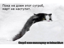 04.04.2009 16:26:41