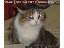 04.04.2009 16:26:13