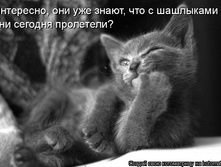 04.04.2009 16:26:35