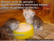 04.04.2009 16:27:13