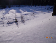 DSCN1331.JPG
