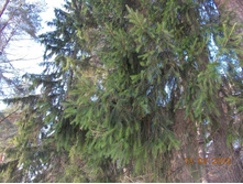 DSCN1332.JPG
