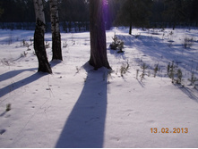 DSCN1335.JPG