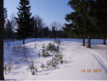 DSCN1338.JPG