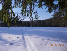 DSCN1339.JPG