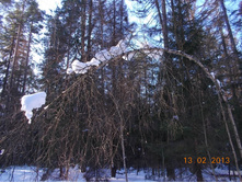 DSCN1350.JPG
