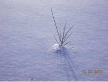 DSCN1366.JPG