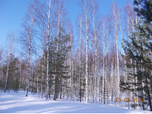 DSCN1371.JPG
