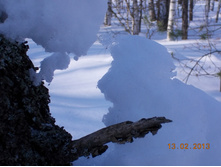 DSCN1372.JPG