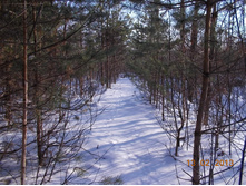 DSCN1392.JPG
