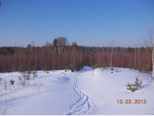 DSCN1395.JPG