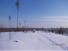 DSCN1396.JPG