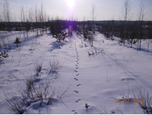 DSCN1402.JPG
