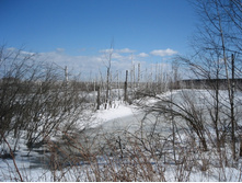 06.04.2009 11:42:10