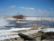 06.04.2009 11:41:56