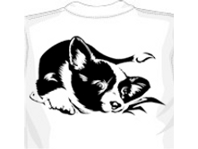 �����.png