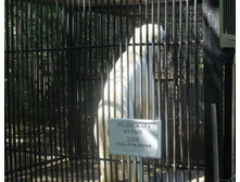 08.04.2009 10:51:14