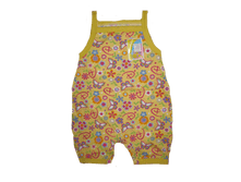 573-03-polykomb-jolnuu-v-babochky.png