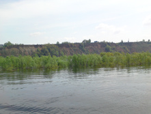 DSC01812.JPG