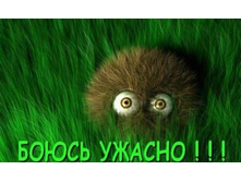 14.04.2009 8:20:33