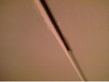 21112011178.jpg