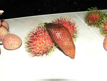 P1000804.JPG
