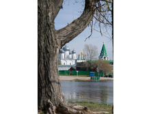 20120506-DSC03720.jpg