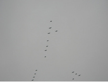 18.04.2009 14:37:41