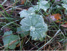 26.09.2010 23:07:46