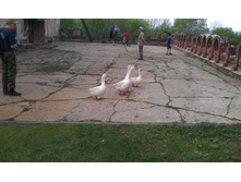 IMAG0536.jpg