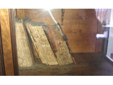 IMAG0554.jpg