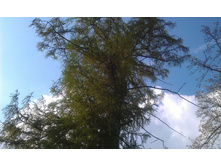 IMAG0582.jpg