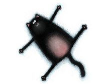 d6a5ac1bca89.png